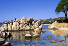 爱游戏体育：[棋牌]马桥杯新人王赛预选赛首轮战罢 梁景鑫等四人晋级.